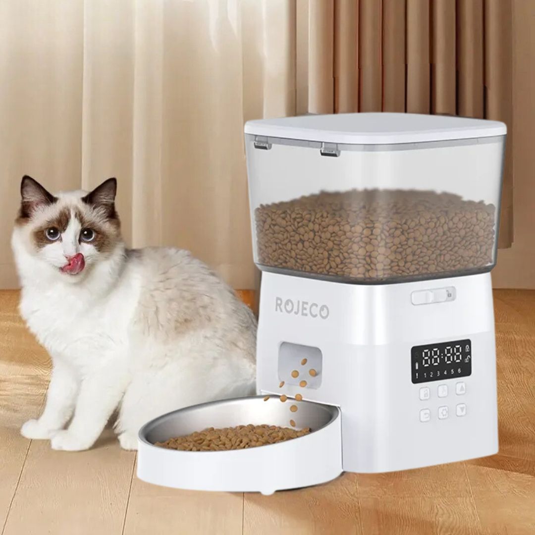 Distributeur de croquettes pour chat | PurrFeast™