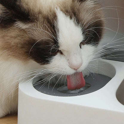 distributeur-de-croquettes-pour-chat-eau