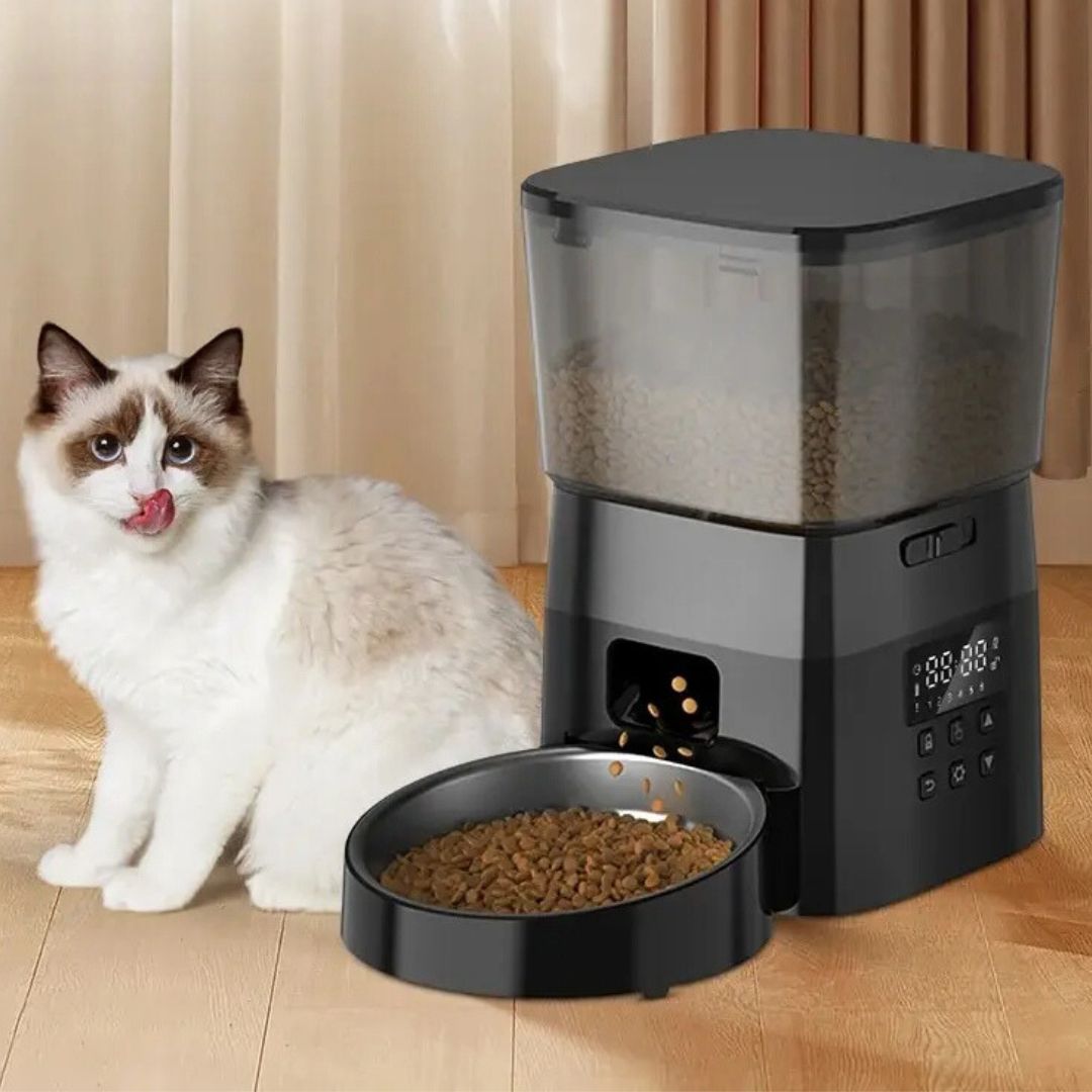 Distributeur de croquettes pour chat | PurrFeast™