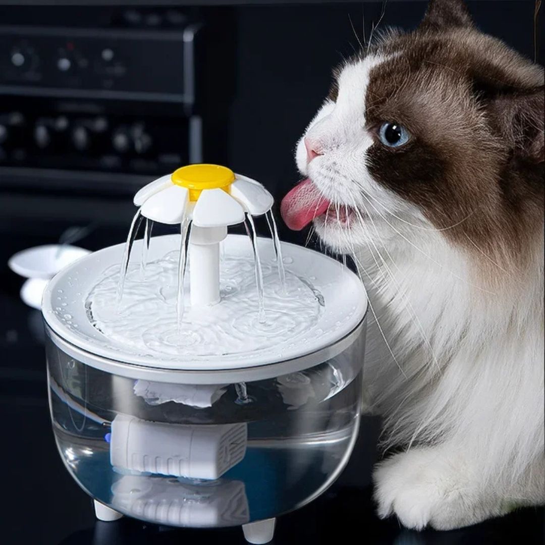 fontaine-a-eau-chat-abreuver