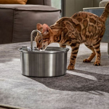 fontaine-a-eau-chat-abreuver