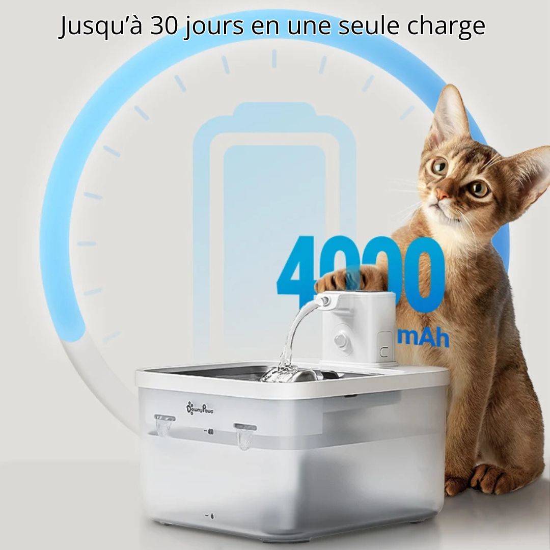 fontaine-a-eau-chat-batterie