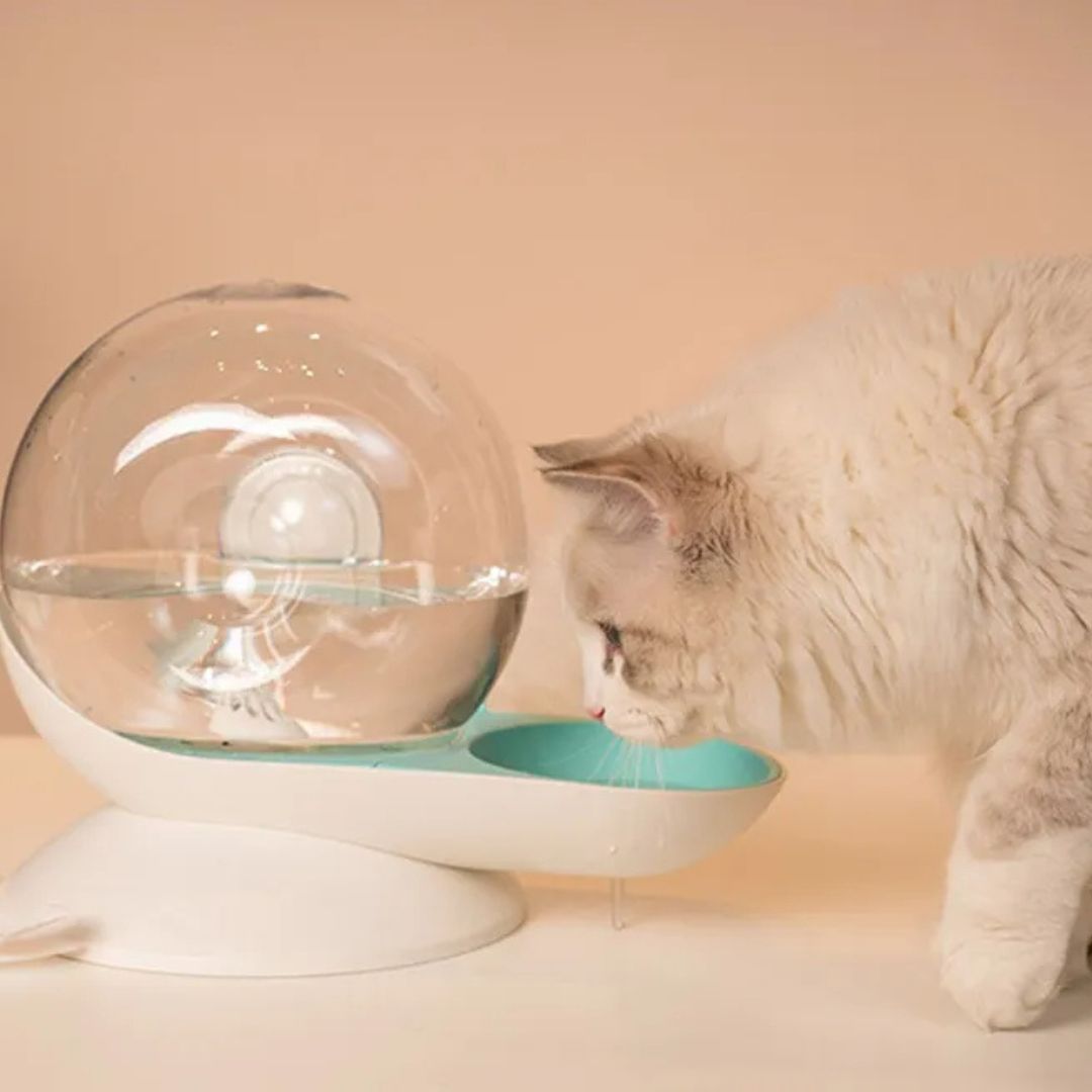 Fontaine a eau chat | OSnail™