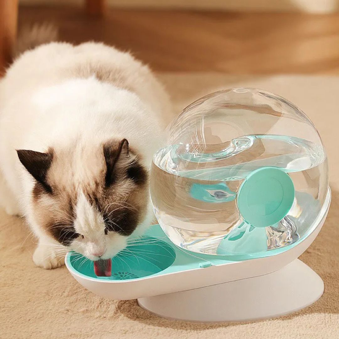 Fontaine a eau chat | OSnail™