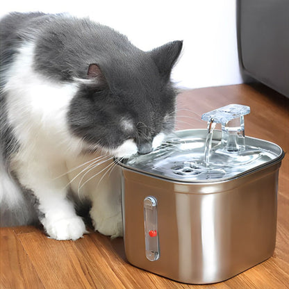 fontaine-a-eau-chat-captivante