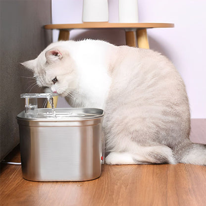 fontaine-a-eau-chat-curiosite