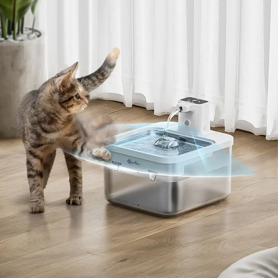 fontaine-a-eau-chat-detecteur