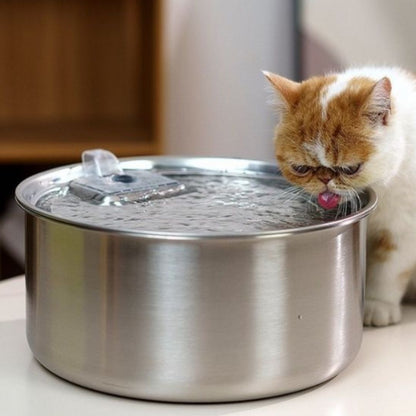 fontaine-a-eau-chat-flow