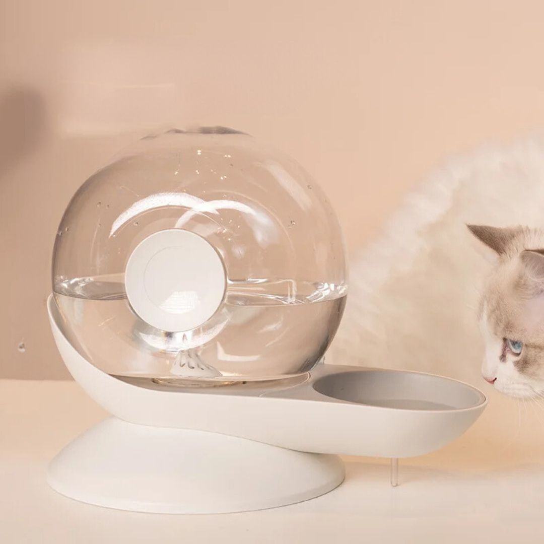 Fontaine a eau chat | OSnail™