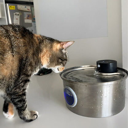 fontaine-a-eau-chat-inoxydable