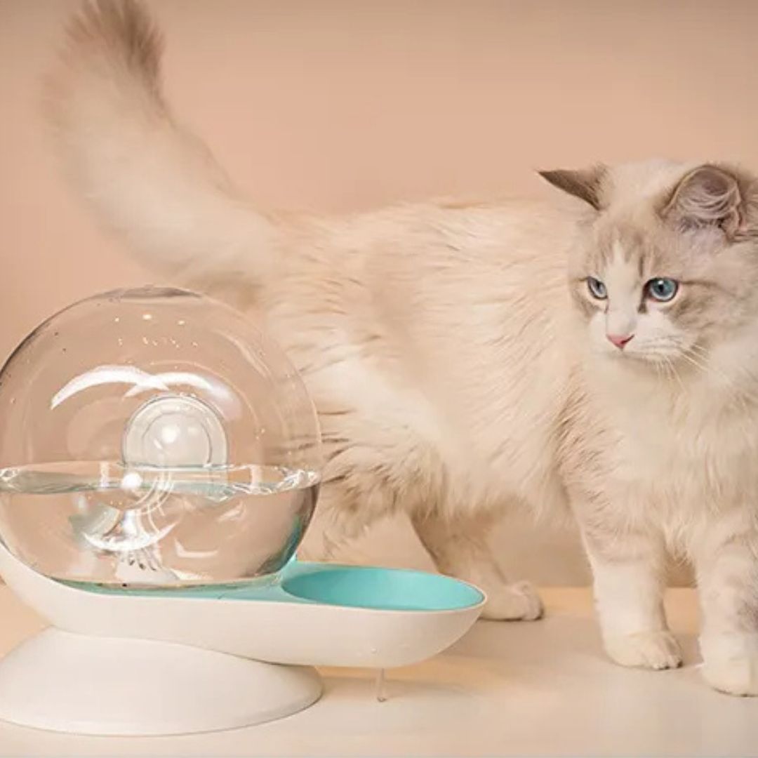 Fontaine a eau chat | OSnail™