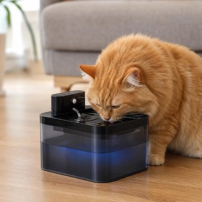 Fontaine a eau Chat noir avec lumière bleu