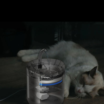 Fontaine à eau chat | HydriZen™