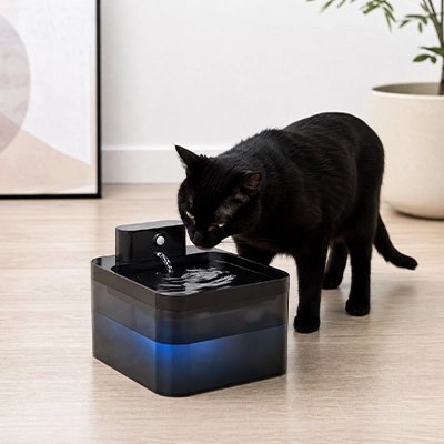 Fontaine a eau Chat pour l'hydratation