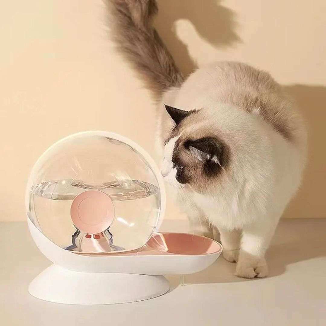 Fontaine a eau chat | OSnail™