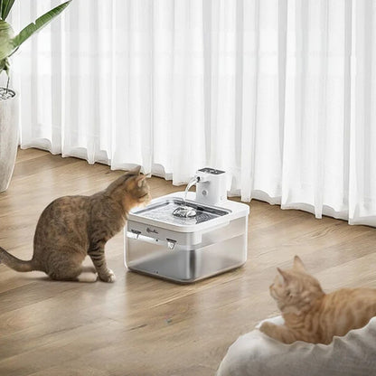 fontaine-a-eau-chat-salon