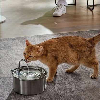 fontaine-a-eau-chat-style