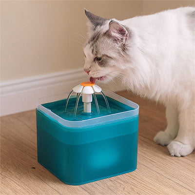 fontaine-a-eau-chat-verte-boire