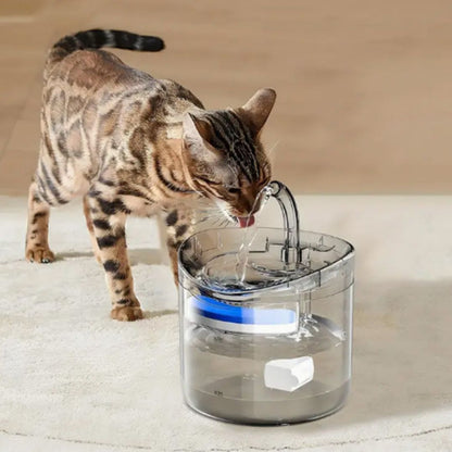 Fontaine à eau chat | HydriZen™