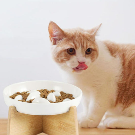 gamelle-anti-glouton-chat-blanc