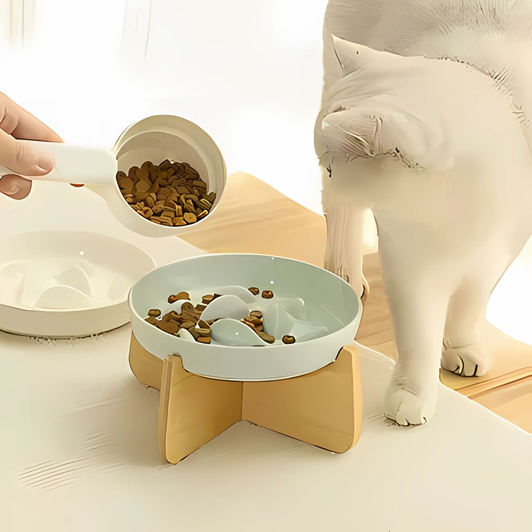 gamelle-anti-glouton-chat-bleu