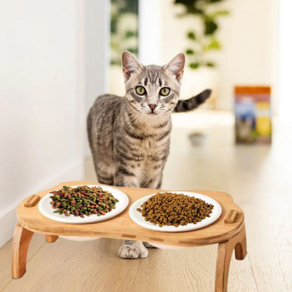 gamelle-chat-chaton