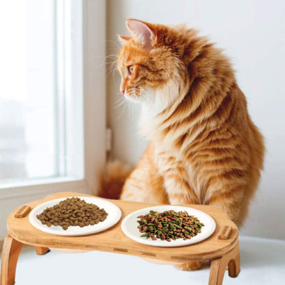 gamelle-chat-elegante