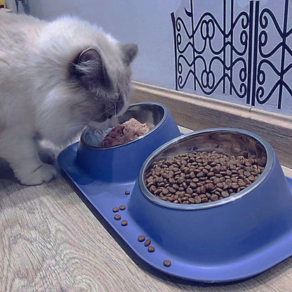 gamelle-chat-facile