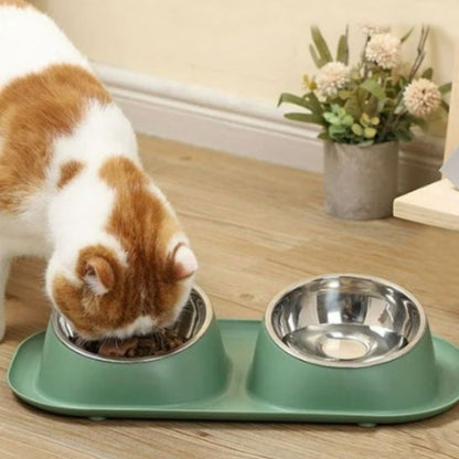 gamelle-chat-mange