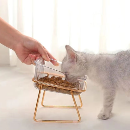 gamelle-chat-nourriture