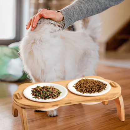 gamelle-chat-proprietaire