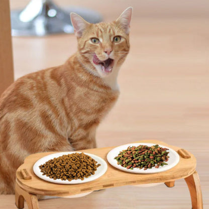 gamelle-chat-repas