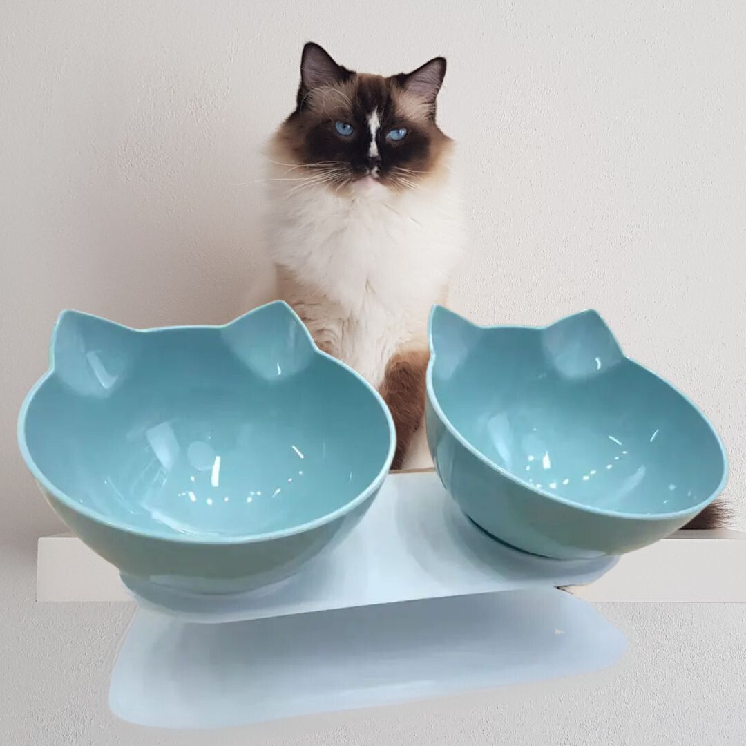 gamelle-chat-turquoise