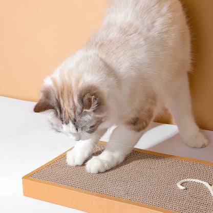 griffoir-chat-attractif