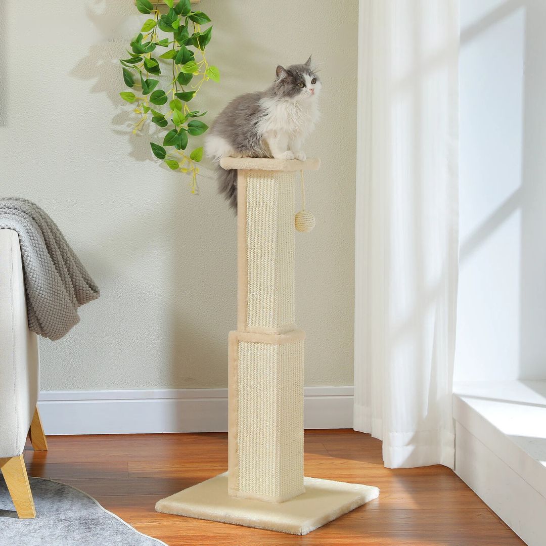 griffoir-chat-beige