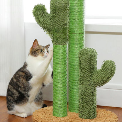 griffoir-chat-cactus