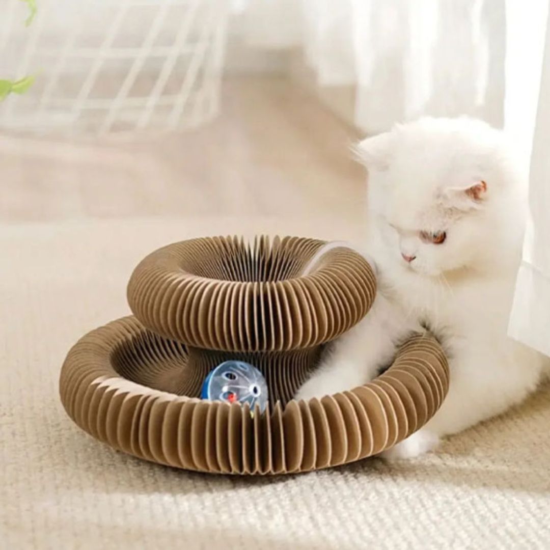 griffoir-chat-carton-balle