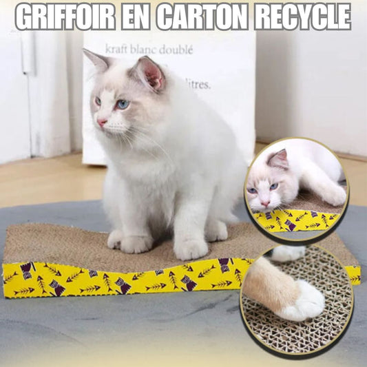 griffoir-chat-carton