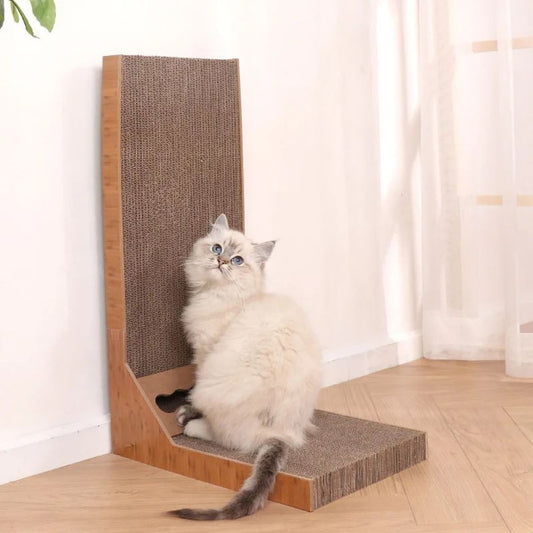 griffoir-chat-carton
