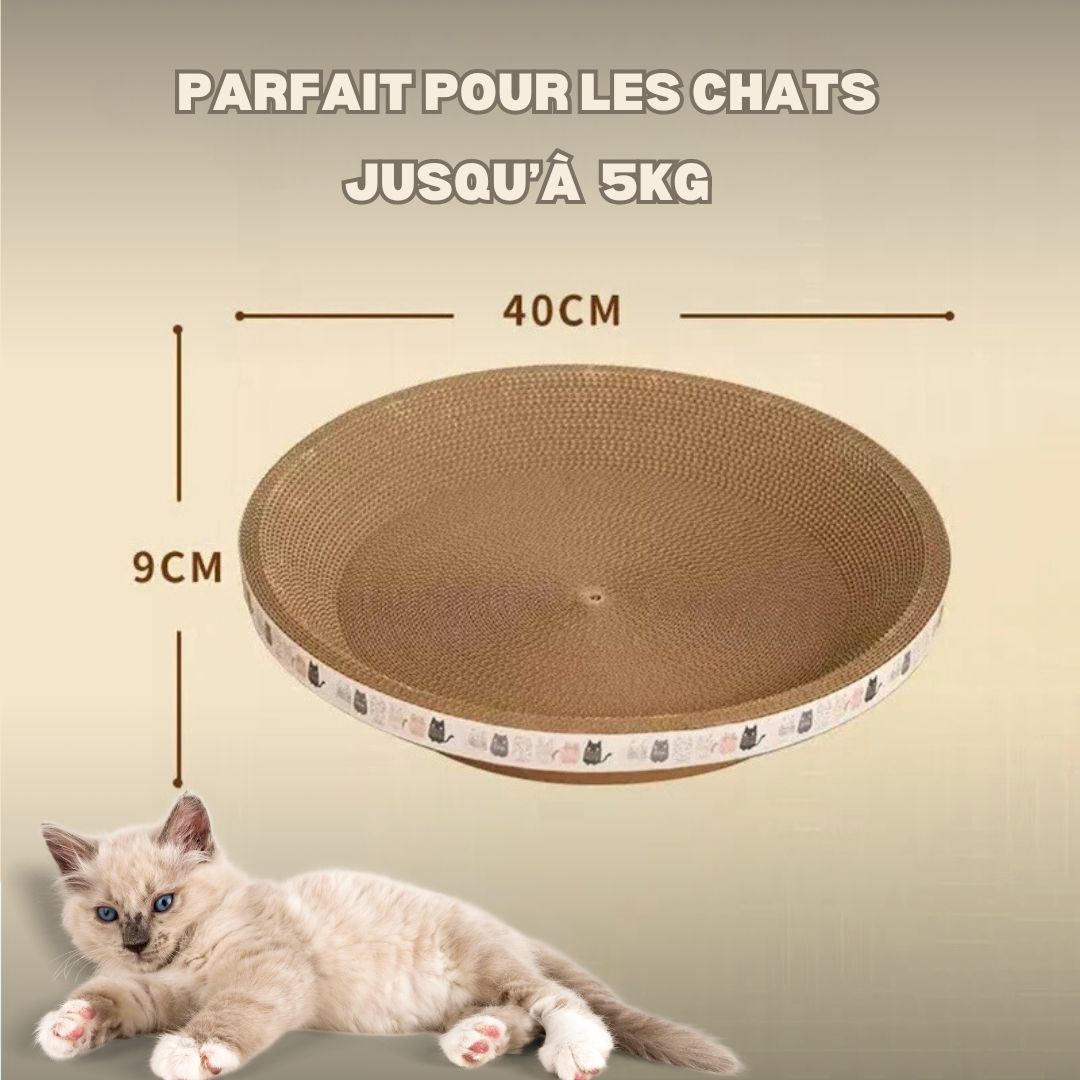 griffoir-chat-cercle