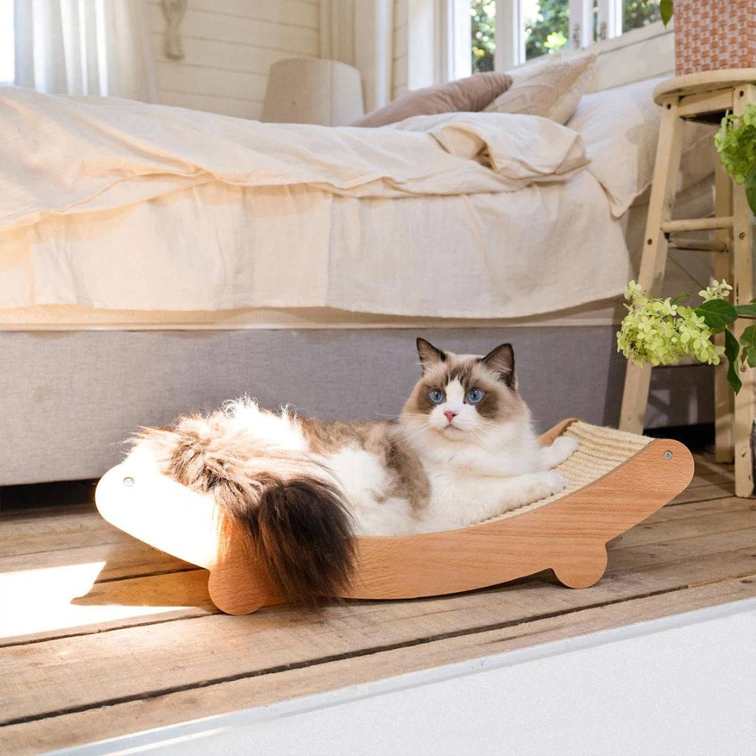 griffoir-chat-chambre