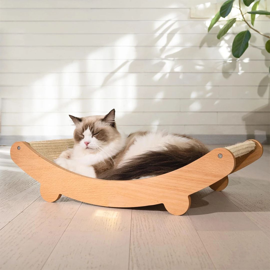 griffoir-chat-confo