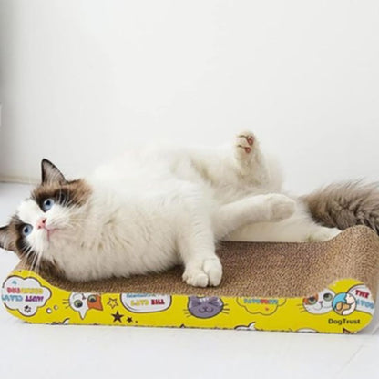 griffoir-chat-couche