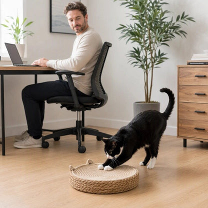 Griffoir Chat dans le bureau