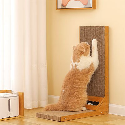 griffoir-chat-debout