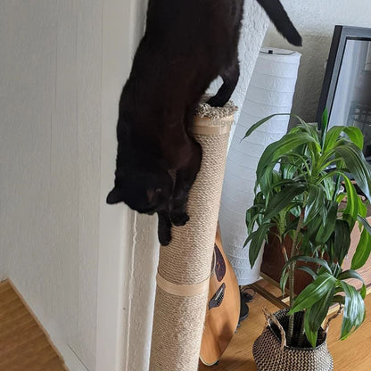 griffoir-chat-descend