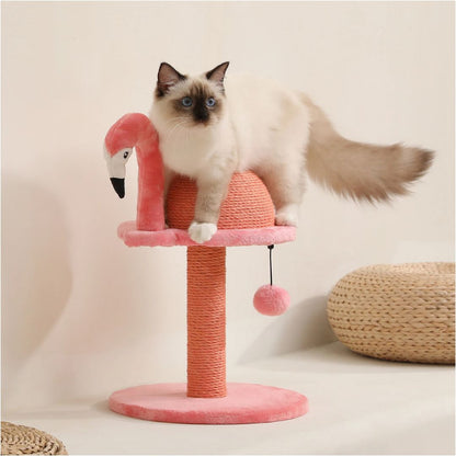 griffoir-chat-dessus