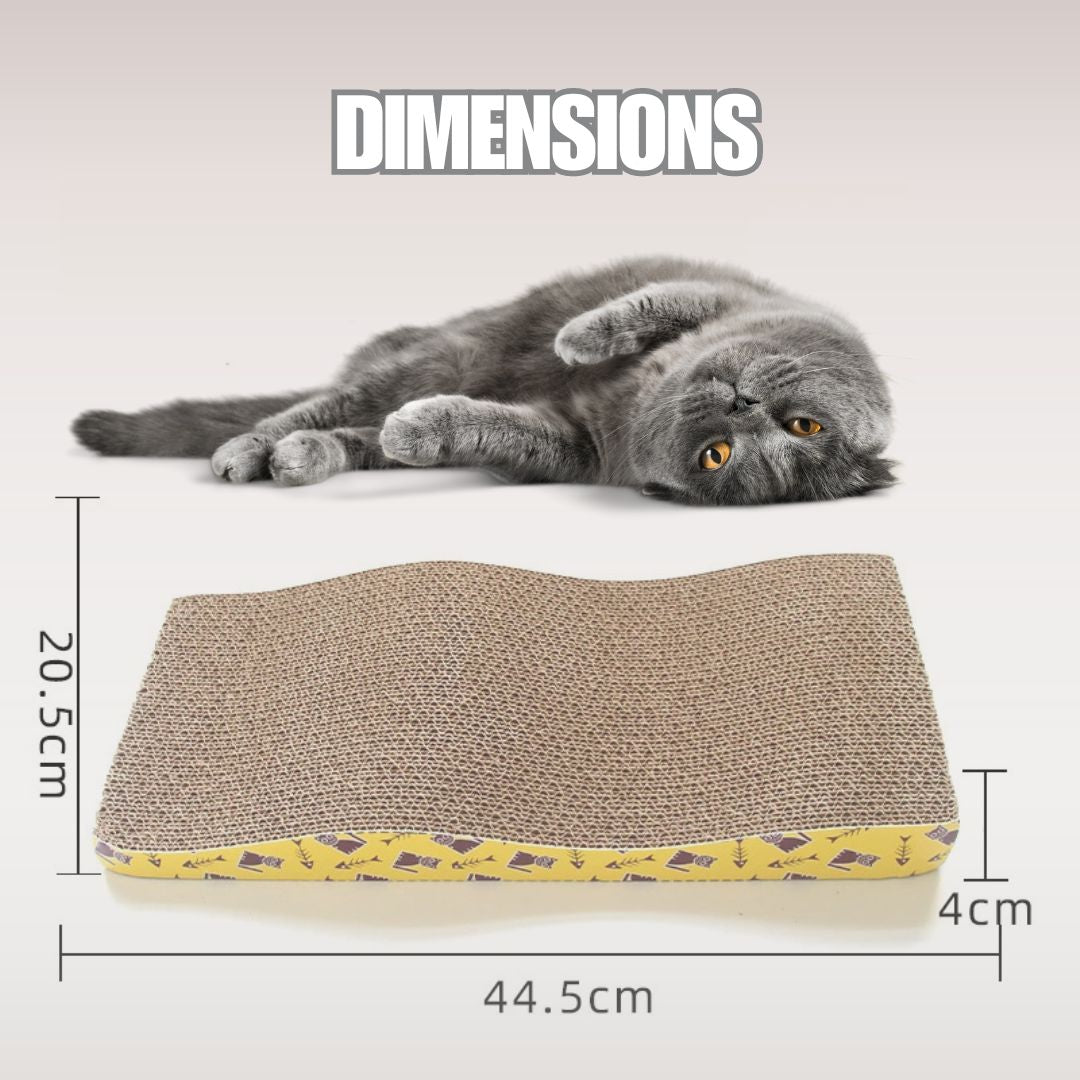 griffoir-chat-dimensions