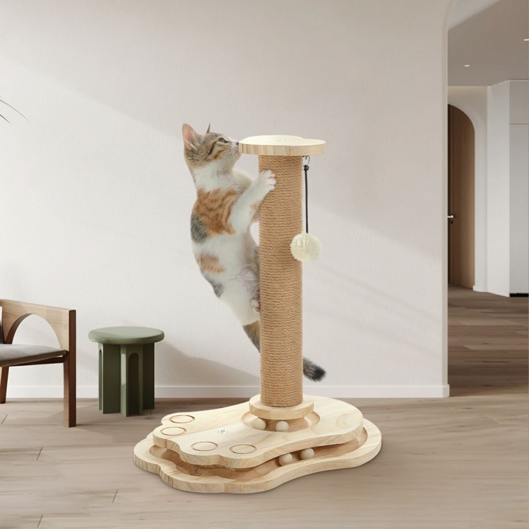griffoir-chat-entree