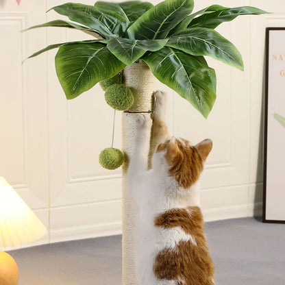 griffoir-chat-etirement
